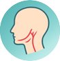 Halsschlagader Icon